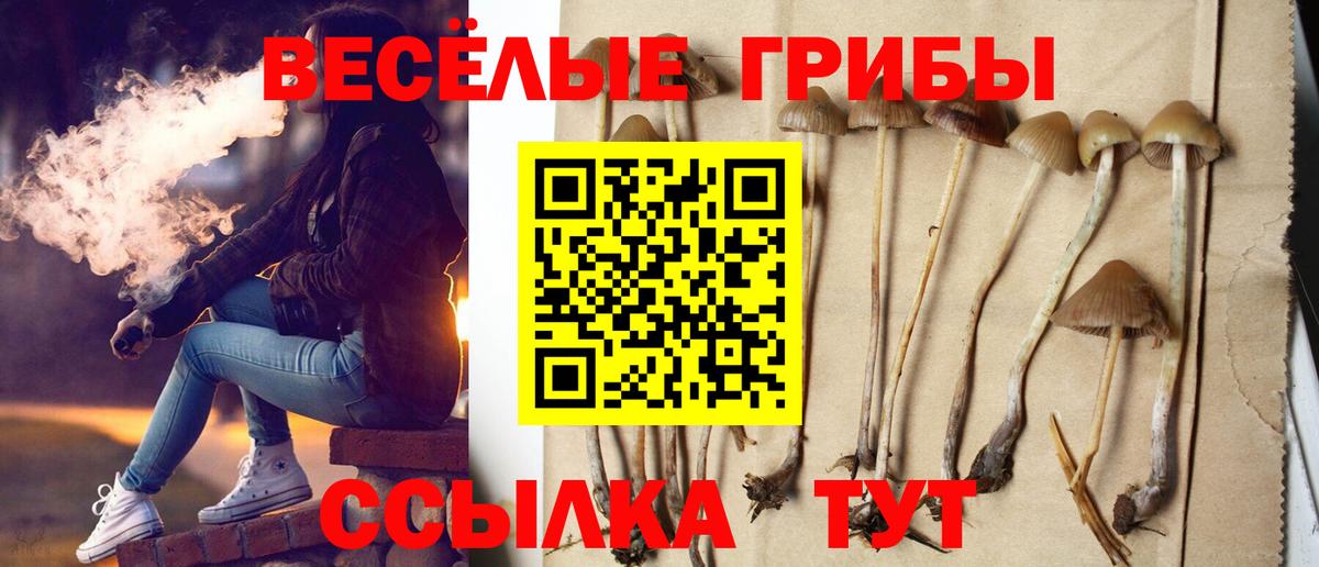 Псилоцибиновые грибы ЛСД  Ангарск  Псилоцибиновые грибы прущие грибы 