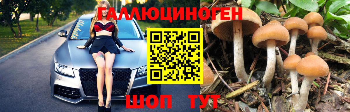 Псилоцибиновые грибы мицелий Ангарск