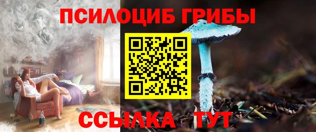 Ангарск  где продают   Галлюциногенные грибы Magic Shrooms  Вход с VPN  Галлюциногенные грибы Psilocybe 